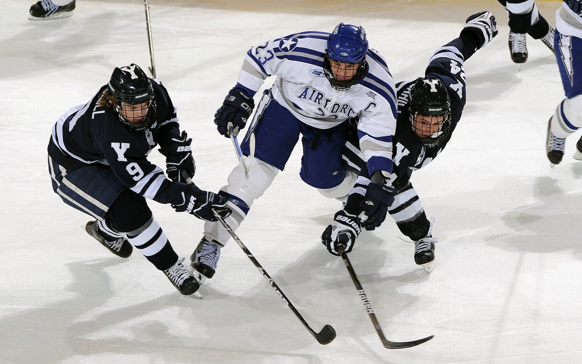 青少年足球赛事品牌化运营逐步落实，打造行业标杆，青少年足球俱乐部logo